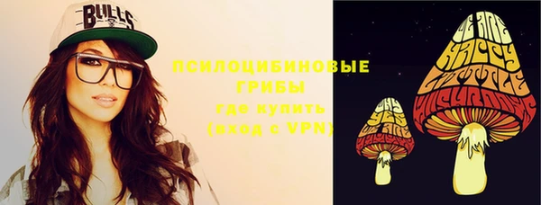 ПСИЛОЦИБИНОВЫЕ ГРИБЫ Белокуриха