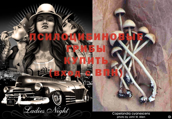 герыч Белоозёрский