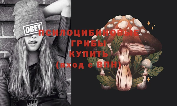 не бодяженный Беломорск