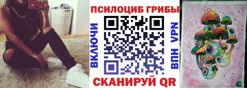 где можно купить   Каспийск  Псилоцибиновые грибы MAGIC MUSHROOMS 